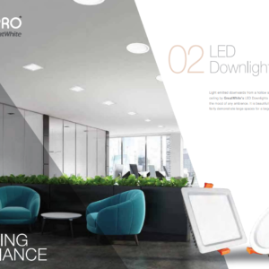 GreatWhite Lumapro LED Downlight