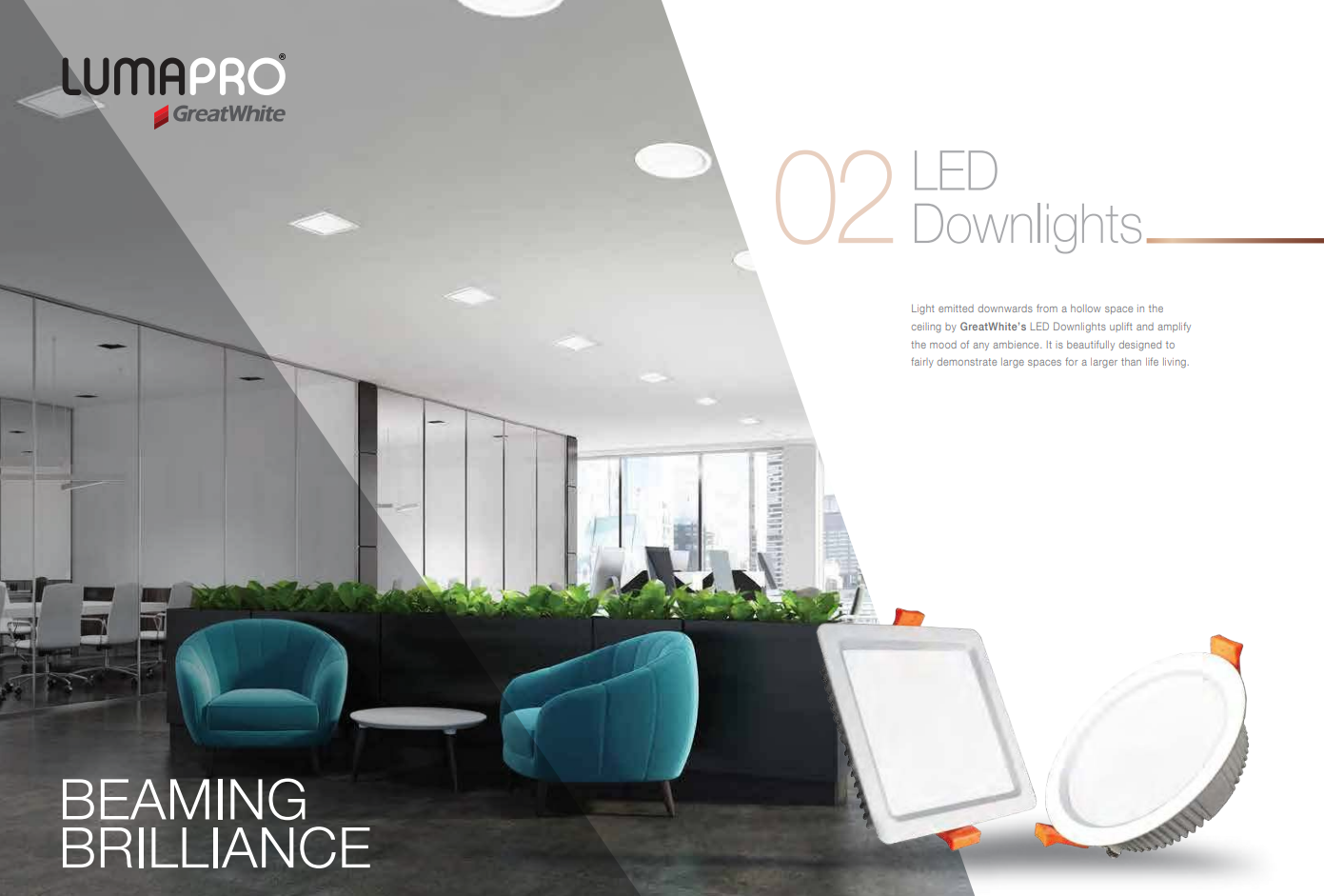 GreatWhite Lumapro LED Downlight