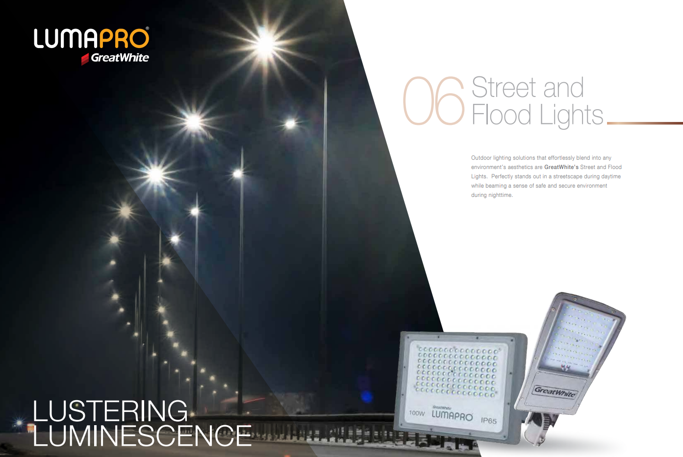 GreatWhite Lumapro LED Street Light & Flood Light