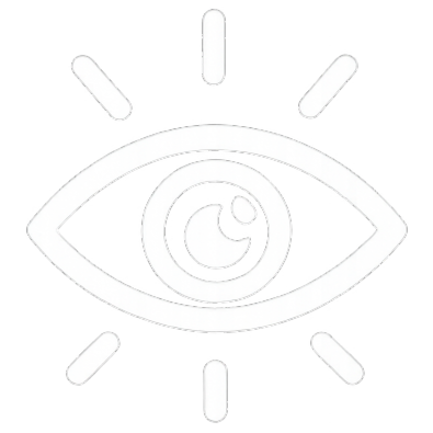 Vision
